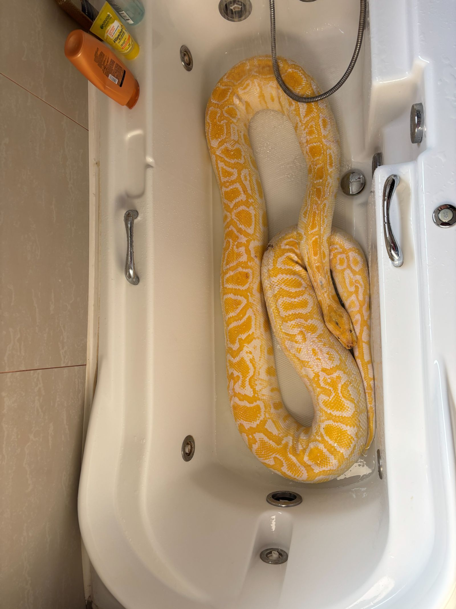 Animales del Bioparque Huellitas en Instagram